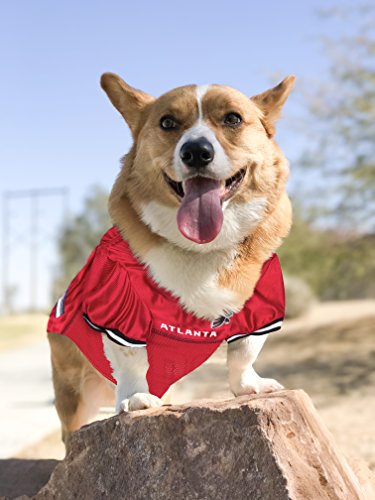 NFL NFC South Mesh Jersey for Dogs (X-Large / Atlanta Falcons)
