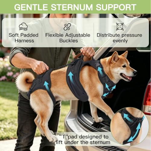 Dog Lift Harness for Male Dogs Full Body Support for Recovery & Mobility（M） (Chest Girth 21-27")