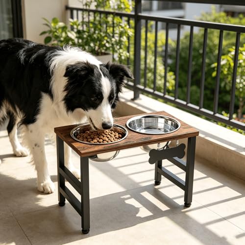 10" Tall Elevated Dog Bowls (Brown-L / Height:10inch)