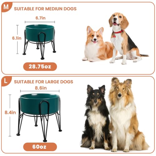 Elevated Dog Bowls (Green / 7.6 Cups | 2 Pack | For Large Dogs)