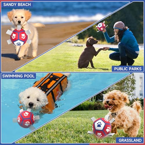 Small Dog Toys (5 Inch / Red)