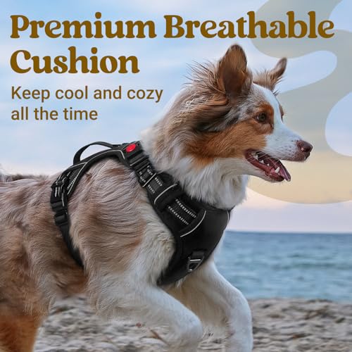 Large Dog Harness (Medium / Black)
