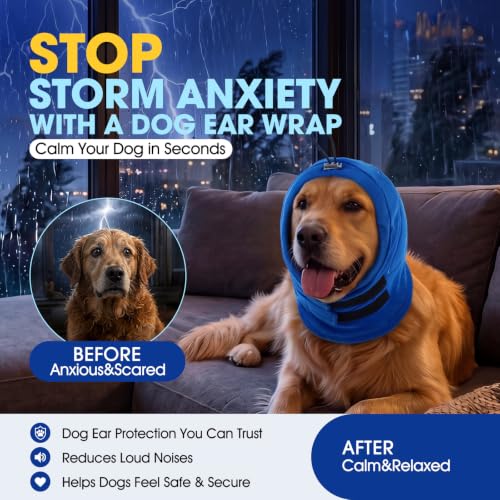 Dog Ear Muffs Noise Protection (Cobalt Blue / X-Large)