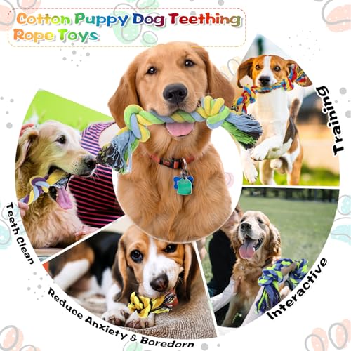 24 Pack Dog Rope Toys 10 Inch Cotton 2 Knot Chew for Large Dogs