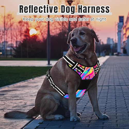 No Pull Dog Harness (Abstract Rainbow Art / X-Large)