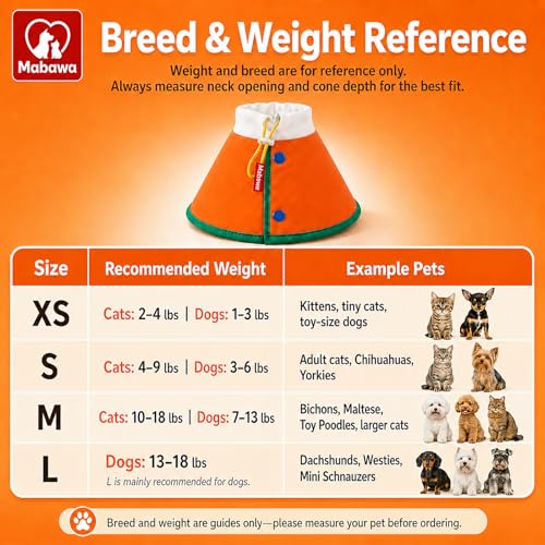 Soft Dog Cone Collar for Dogs & Cats (Orange / M)