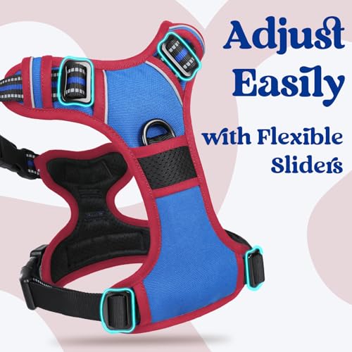 Dog Harness for Large (Large / Blue & Red)