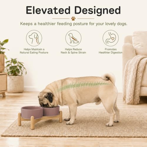 Ceramic Dog Bowls Elevated (Brown Coffee)