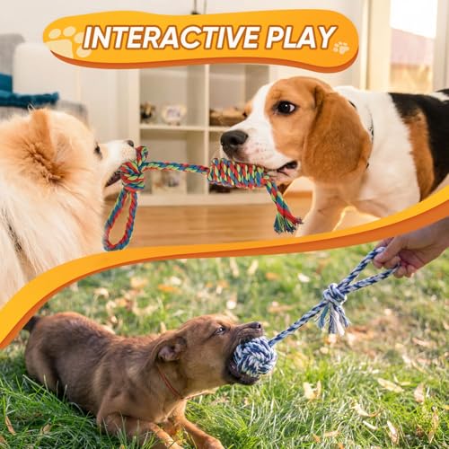Dog Rope Toys 7 Pack (Small)