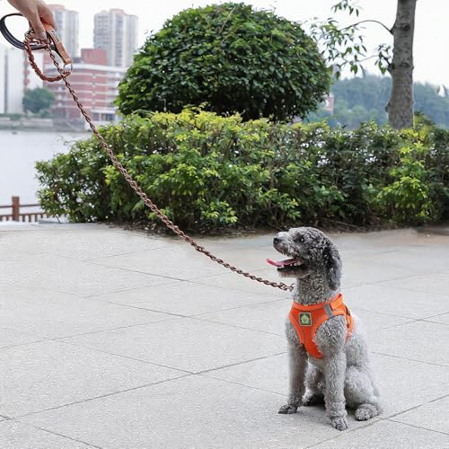 Chain Dog Leash (Brown / 4FT(30-80lb))