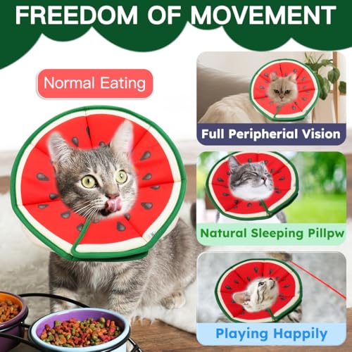 Cat Cone Collar Soft (Watermelon / Small)