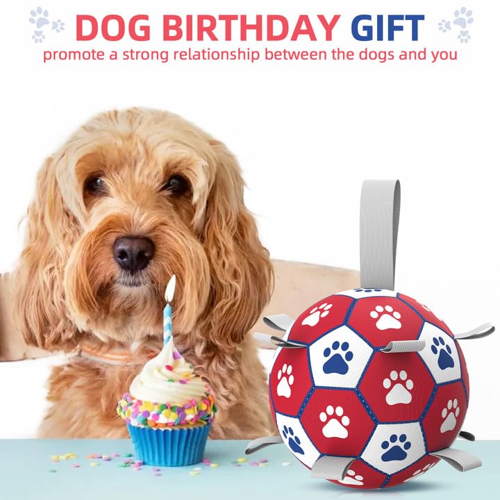 Dog Balls 6 Inch Balls for Dogs with Straps (6 Inch / Red)