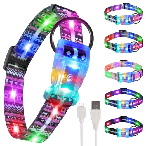 Light Up LED Dog Leash and LED Dog Collar Set USB Rechargeable Waterproof (Bohemian purple / 1.5m Leash+10-25in Collar Can be Crop)