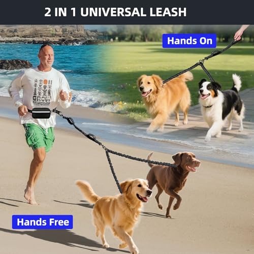 Hands Free Double Dog Leash with Pouch (Black / Medium/Large)