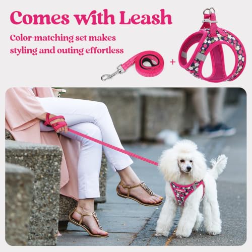 Dog Harness Small Sized and Leash Set (Pink Berry / Xs (chest: 13.3 - 15.5"))