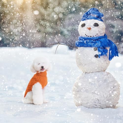 Dog Sweater for Medium Dogs (Orange / Medium)