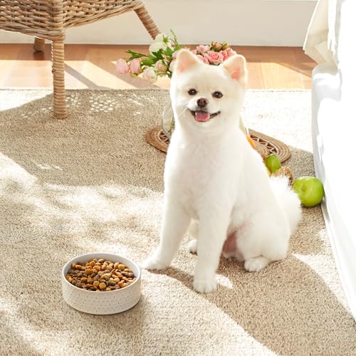 Ceramic Dog Food Bowl (Honeycomb / 2 Cups)