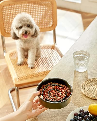 Ceramic Slow Feeder Dog Bowls (Black / 6 Inches)
