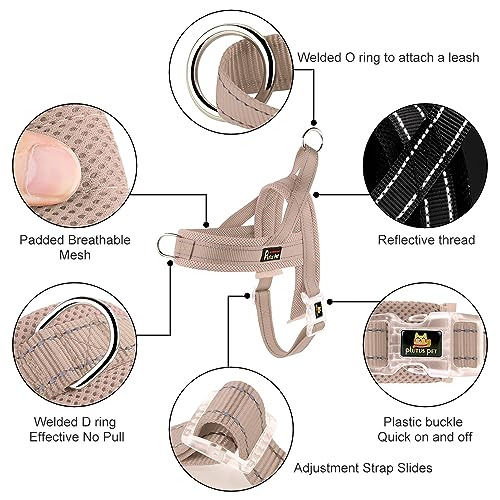 No Pull Dog Harness for Puppy Small Dogs (XXS: chest 11.8"-15" / Beige)