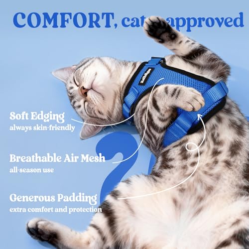 Cat Harness and Leash Set (S / Navy Blue)