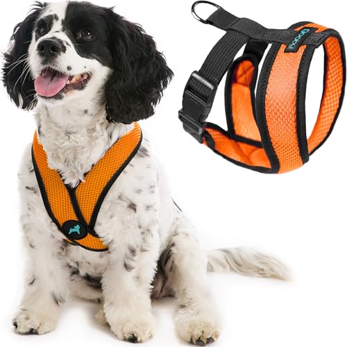 Comfort X Head (Large Chest (17-22.5") / Orange)