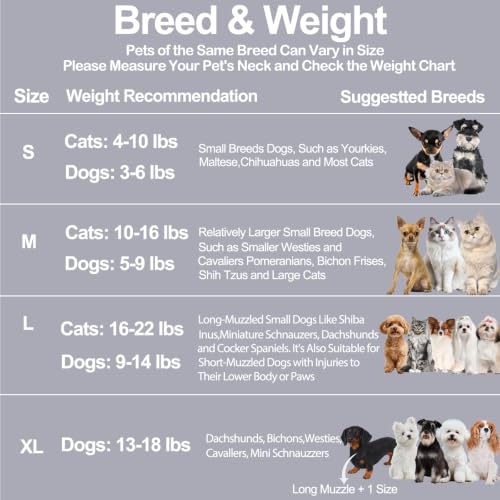 Soft Dog Cone for Small Dogs & Cats (Gray / (Neck:9"-12"))