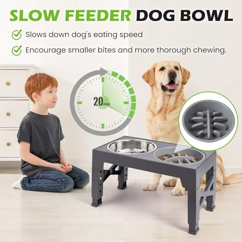 Elevated Dog Bowls with 5 Adjustable Heights Stand (Grey)