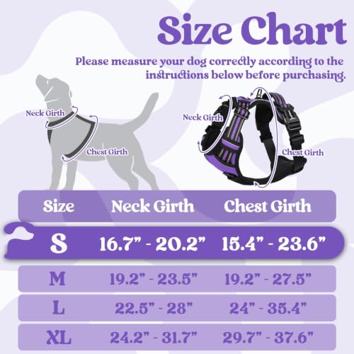Dog Harness Small Sized (Small / Purple)