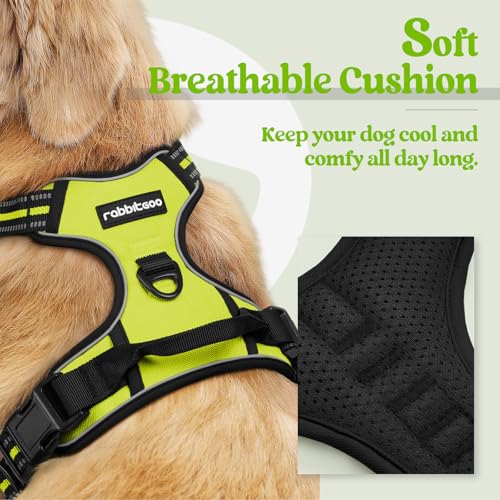 Dog Harness No Pull for Large Dogs with 2 Leash Clips (X-Large / Wild Lime)