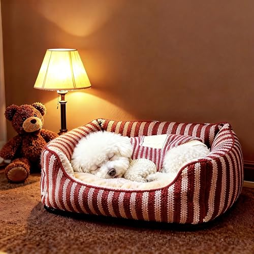 Small Dog Sweater (White Stripe Pullover(Order One Size Up) / Medium)