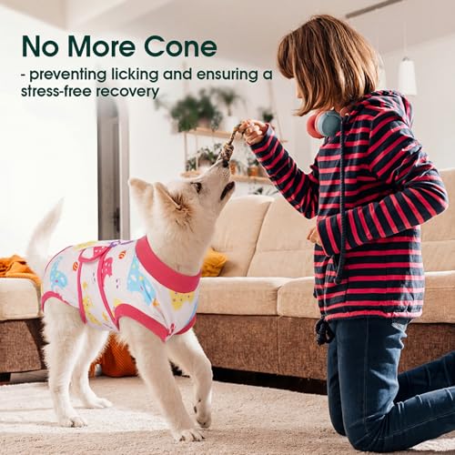 Dog Recovery Suit (Dreamy Pink / Medium)