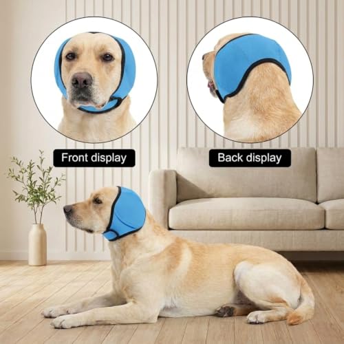 No Flap Ear Wraps for Dogs (Blue / L)