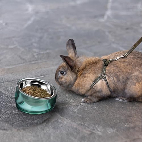 Oblik 15° Tilted Small Animal Bowls for Pet Food & Water 6 oz Stainless Steel Dish Removable (Classic / Mini Pet)