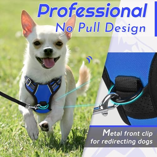 Dog Harness for Small Dogs (X-Small / Blue)