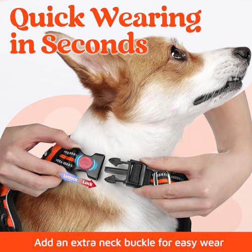 Dog Harness for Large (Orange / Large)