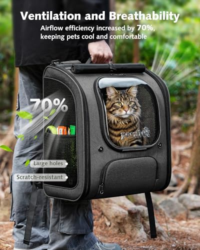 Cat Backpack Carrier (Gray / 14.9"L x 11.0"W x 19.6"H)