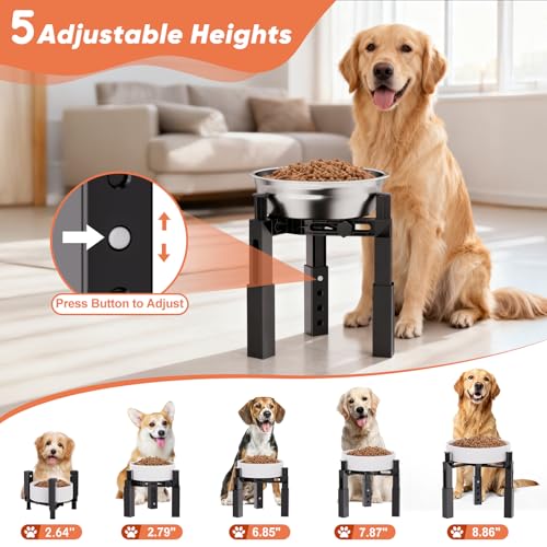 Dog Bowl Stand Elevated Food Water Bowl Holder for Large Medium Small Sized Dog (Bowl Stand-A)