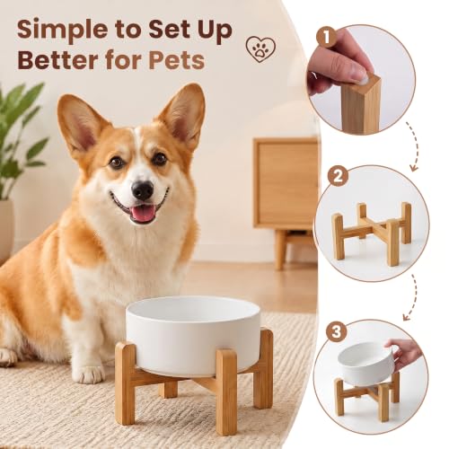 Elevated Ceramic Dog Bowl with Bamboo Stand (White / 3.6Cup)
