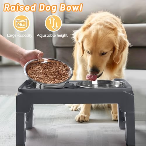 Elevated Dog Bowls with 2 Stainless Steel Dog Food & Water Raised Bowls with No Spill Edge Non (S (6" for Small Dogs) / Grey)