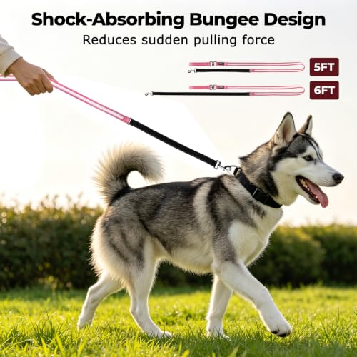 LED Bungee Dog Leash (5 FT, MAX: 6 FT / Sky Blue)