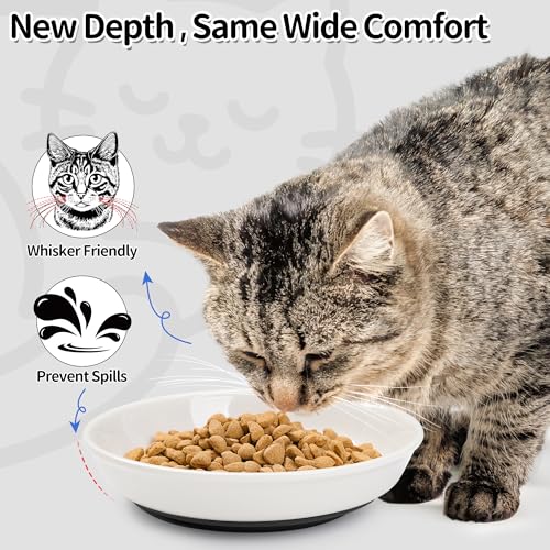 Cat Food Bowls (Deep Dish | 3 PCS / Fishbone)