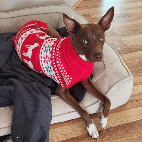 Dog Ugly Christmas Sweater for Small Medium Dog (X-Large (19-27lbs) / 1# Christmas)