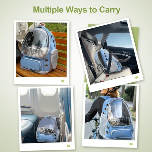 Expandable Cat Backpack Large Space Cat Bubble Backpack Carrier (Square Expandable- Blue)