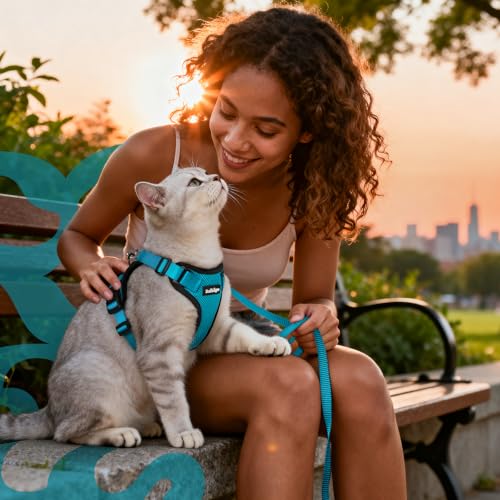 Cat Harness and Leash Set (Xs / Teal)