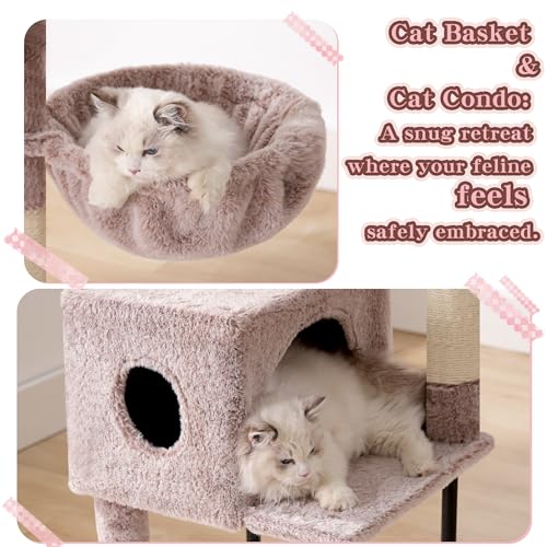 Cat Tree with Toy (49.2 inch / Muchroom)