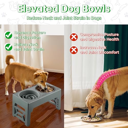 Elevated Dog Bowls (2 Bowls + 1 Slow Feeder / Gray)