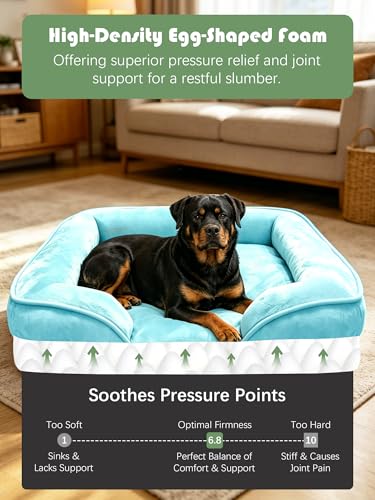 Orthopedic Dog Bed with Sides (42.0"L x 32.0"W x 6.5"Th / Ice Blue)
