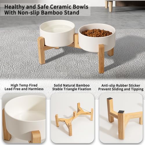 Elevated Ceramic Dog Bowl (White / Medium)
