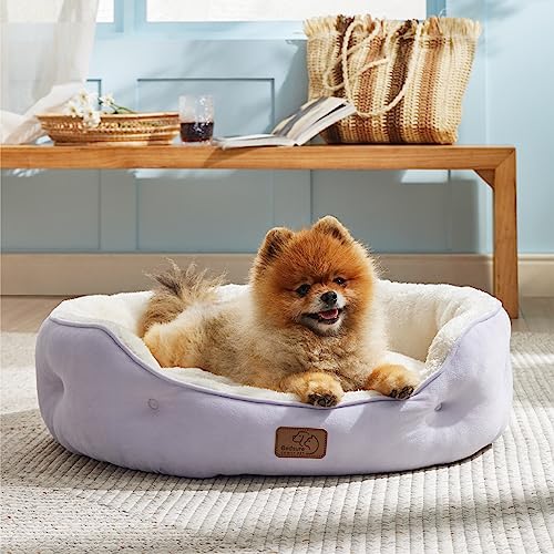 Dog Beds for Small Dogs (25"L x 21"W x 8"Th / Azure Lilac)