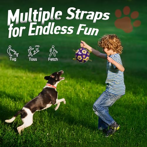 Dog Ropes Toys (Purple Yellow / 8 Inch)